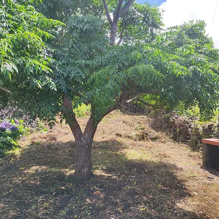 Casa Brum 펜션 Santana (Azores)