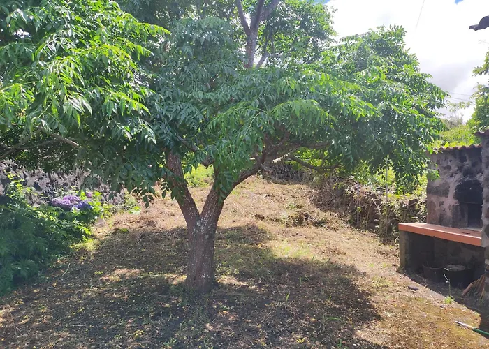 Casa Brum Hébergement de vacances Santana (Azores)
